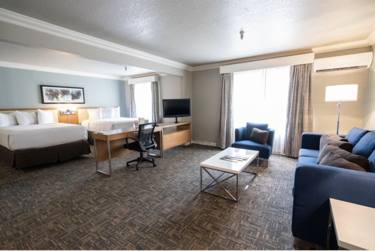 Newly All Suite Rooms